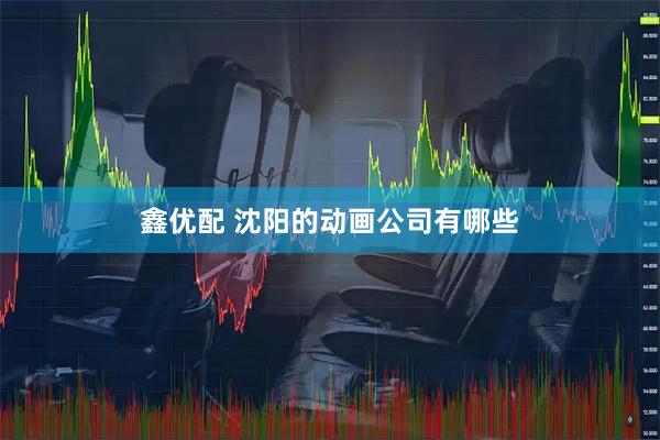 鑫优配 沈阳的动画公司有哪些