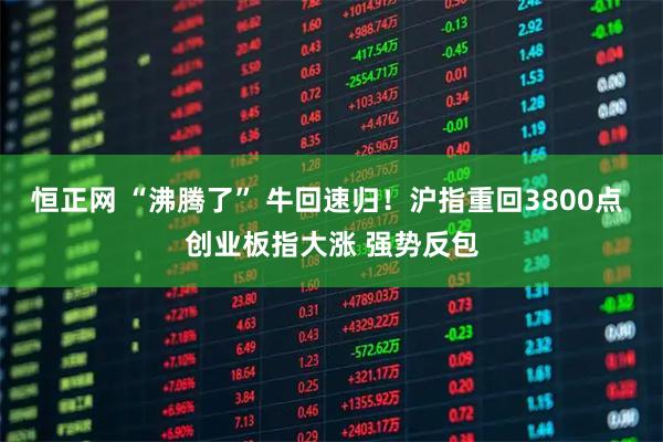 恒正网 “沸腾了” 牛回速归！沪指重回3800点 创业板指大涨 强势反包