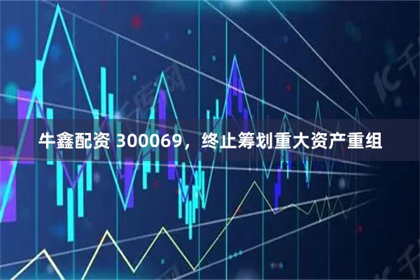 牛鑫配资 300069，终止筹划重大资产重组